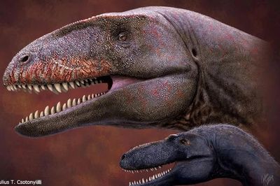 Loài khủng long nào từng thống trị trước thời T. rex?