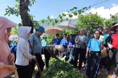 Người dân vùng cao học nghề để sản xuất an toàn