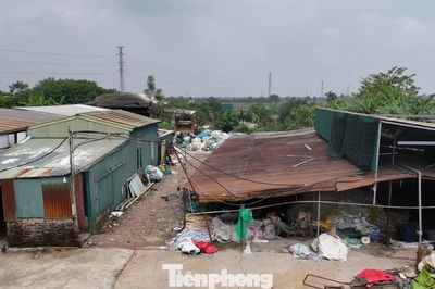 Hà Nội xử lý hàng trăm trường hợp vi phạm trên đất nông nghiệp