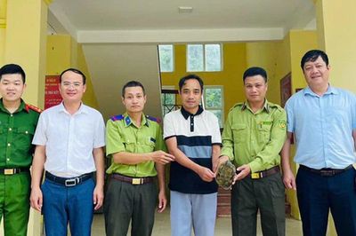 Rùa mỏ vẹt quý hiếm được học sinh phát hiện sau mưa