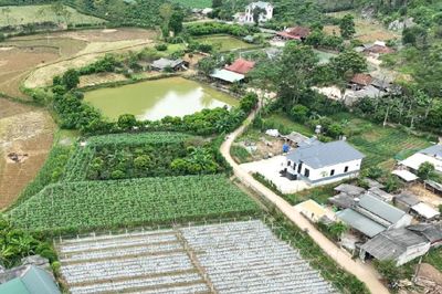Xây nhà trên đất nông nghiệp gần 30 năm, xin chuyển sang đất ở có bị xử phạt?