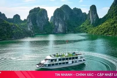 Top 5 'Thiên đường du lịch' nổi bật nhất tại Việt Nam