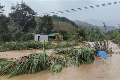 Mưa lớn, nhiều trường cho học sinh nghỉ học