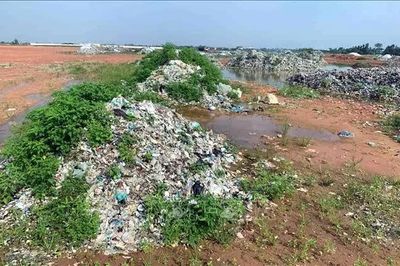 Hà Tĩnh: Cần sớm xử lý hàng trăm tấn rác trong khu công nghiệp
