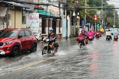 Triều cường dâng cao, Vĩnh Long chủ động bảo vệ vùng sản xuất