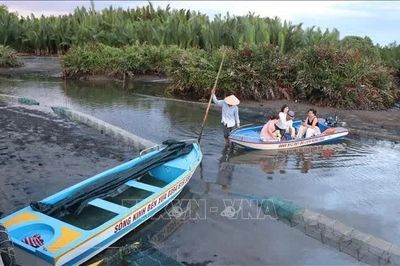 Du lịch rừng dừa nước Tịnh Khê 'thấp thỏm' theo thủy triều