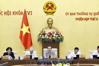 Rõ đầu mối, rõ trách nhiệm đến cùng trong kiểm soát an toàn thực phẩm