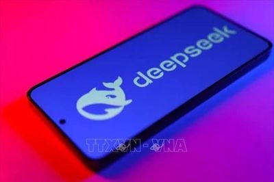 DeepSeek (Trung Quốc) dự báo năm đầu kinh doanh có lãi