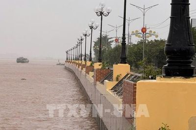 Kè Thường Thới Tiền hoàn thành sớm 3 tháng, bảo vệ bờ sông Tiền mùa lũ