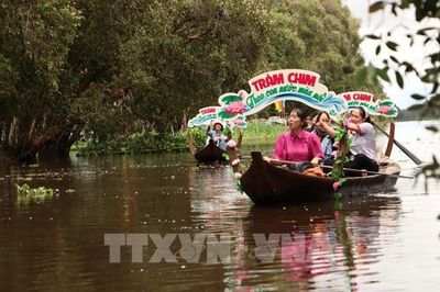 Từ chiếc lợp, cái trúm đến trải nghiệm du lịch Tràm Chim mùa nước nổi