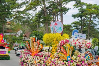 Lâm Đồng chuẩn bị cho Festival Hoa Đà Lạt 2026