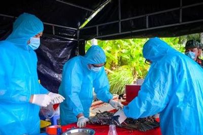An Giang: Tăng tốc thực hiện chiến dịch trả lại tên cho liệt sĩ vô danh