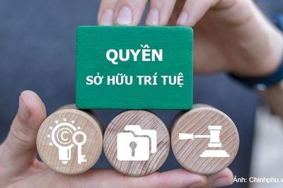 Bảo vệ quyền sở hữu trí tuệ là mệnh lệnh để thúc đẩy đổi mới sáng tạo