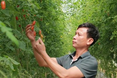 Bỏ lối canh tác cũ, hơn 3 ha đất cho doanh thu hàng tỷ đồng mỗi năm