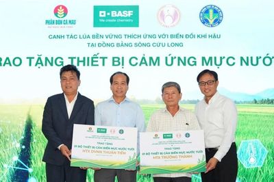 Hỗ trợ 200 nông hộ tại Đồng Tháp canh tác lúa phát thải thấp