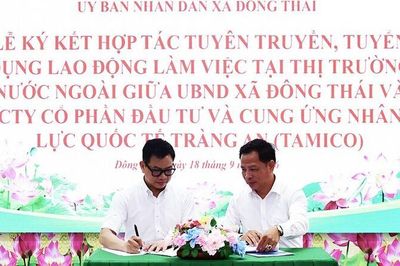 Kết nối việc làm, mở thêm sinh kế