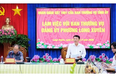 Tỉnh ủy An Giang giám sát công tác cán bộ tại phường Long Xuyên