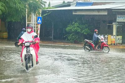 Nhiều trường học phía nam tỉnh Khánh Hòa cho học sinh nghỉ học do mưa lớn