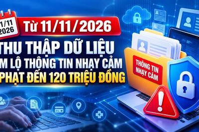 Từ 11/11/2026, thu thập dữ liệu làm lộ thông tin nhạy cảm bị phạt đến 120 triệu đồng