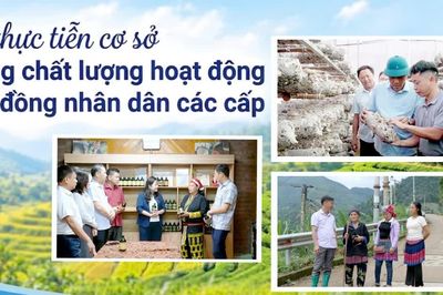Từ thực tiễn cơ sở, nâng chất lượng hoạt động Hội đồng nhân dân các cấp