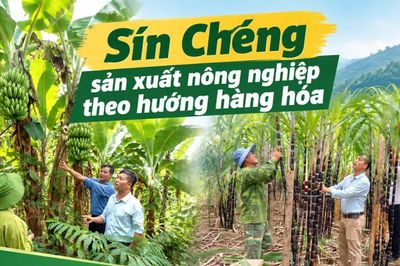 Sín Chéng sản xuất nông nghiệp theo hướng hàng hóa