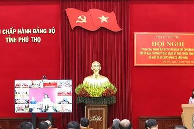Thông báo kết luận giám sát chuyên đề đối với Ban Thường vụ các Đảng ủy trực thuộc Tỉnh ủy và một số tổ chức Đảng có liên quan