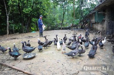 Làm giàu trên vùng đất khó