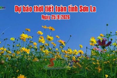 Dự báo thời tiết toàn tỉnh Sơn La ngày 25/9/2026