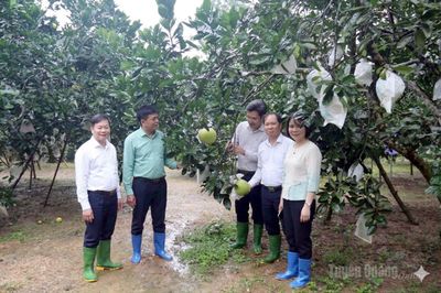Đặt hàng nhiệm vụ khoa học, công nghệ