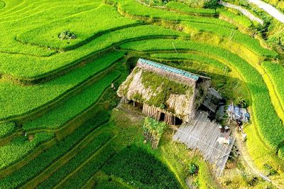 Xà Phìn, mùa vàng dưới mái rêu xanh