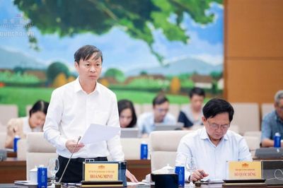 Đề xuất bãi bỏ 18 thủ tục hành chính trong lĩnh vực sở hữu trí tuệ