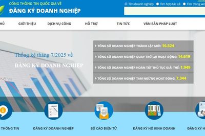 Bộ Tài chính ban hành quyết định quy định phạm vi, dịch vụ và tính năng của Nền tảng quản lý doanh nghiệp quốc gia