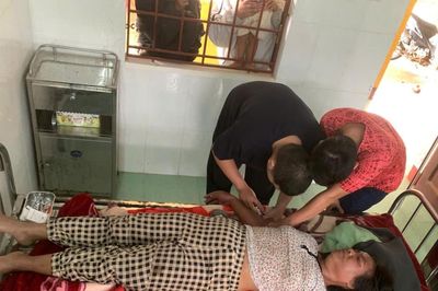 Quảng Trị: Sốc phản vệ do ong vò vẽ đốt, một phụ nữ được cấp cứu kịp thời
