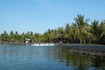 Đổi mới để bảo hiểm đến gần hơn với người dân