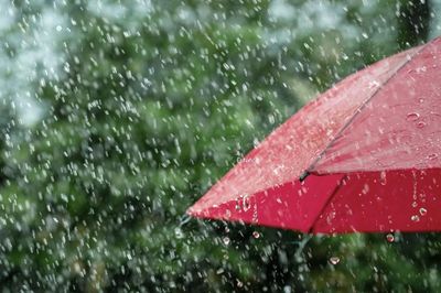 Dự báo thời tiết các đợt mưa mới trên cả nước