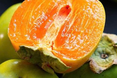 'Lộc trời' mỗi năm chỉ có một mùa, nhìn ngoài 'xanh lè' tưởng chưa chín, bổ ra ruột dẻo giòn như thạch, hàng tuyển gần 200.000 đồng/kg