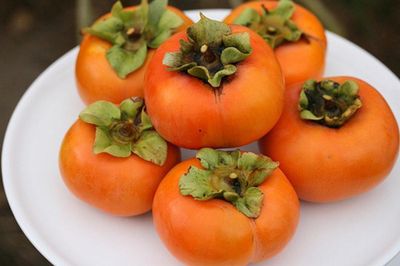 Ăn quả hồng thế nào để tránh đầy bụng, khó tiêu và nguy cơ tắc ruột?