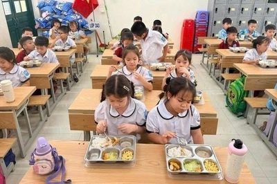 Trường tạm ngưng ăn bán trú vì vướng thủ tục: Sở ATTP TP.HCM thông tin