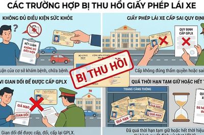 4 trường hợp bị thu hồi giấy phép lái xe, hàng triệu người cần chú ý