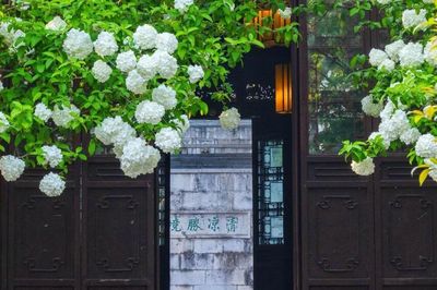 Tháng sinh Âm lịch của người có tính cách ấm áp, sống khiêm nhường nên dễ gặp quý nhân