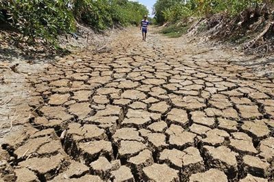 Các kịch bản của El Nino tác động rất mạnh đến nước ta