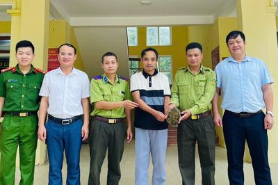 Sau cơn mưa, học sinh phát hiện rùa mỏ vẹt quý hiếm giữa vườn