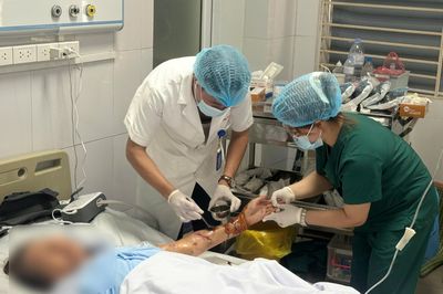Hai người bị chó nhà tấn công với vết thương kinh hoàng