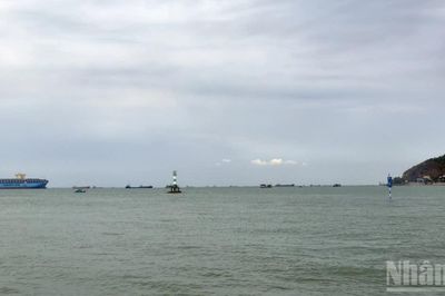 Thành phố Hồ Chí Minh: Giao 49ha vùng biển ngoài khơi Vũng Tàu để nhận chìm chất nạo vét