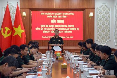 Công bố quyết định kiểm tra theo kế hoạch đối với Đảng ủy Tổng công ty Thái Sơn