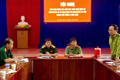 Hiệp đồng 3 lực lượng, giữ vững an ninh trật tự địa bàn xã Tam Mỹ ngay từ cơ sở