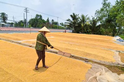 ĐBSCL cần chuyển nguồn lực khoa học công nghệ, đổi mới sáng tạo thành sản phẩm thực tế