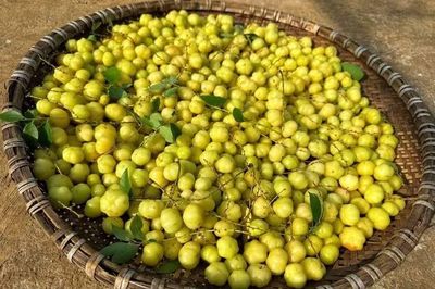 Tầm ruột dẹt tạo sức hút mới trên thị trường trái cây đô thị
