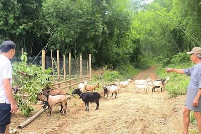 Trao sinh kế, mở hướng thoát nghèo bền vững ở vùng cao Thanh Hóa