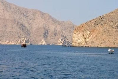 Yemen tỏ ý muốn quốc tế chung tay giữ 'mạch máu' Bab el-Mandeb